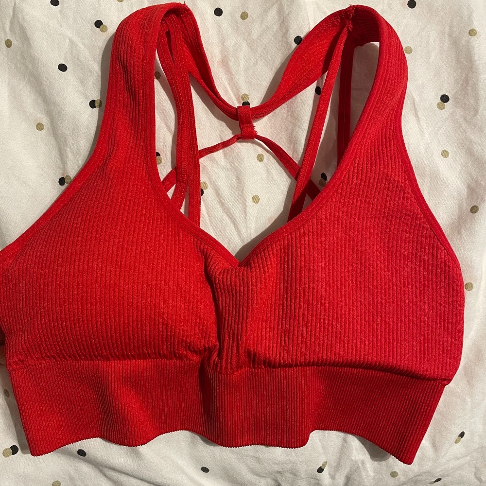 Nvgtn sports bra